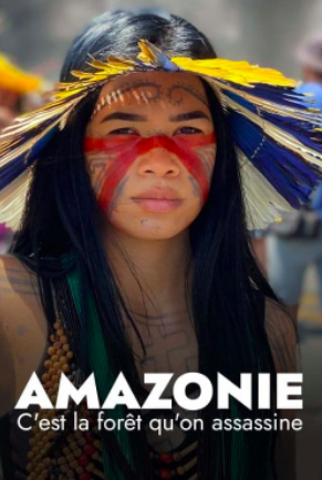 Amazonie c’est la forêt qu’on assassine