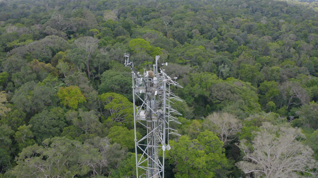 Guyane, l’appel de la forêt amazonienne